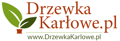 Drzewkakarlowe.pl