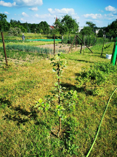 Łukasz, Tychy, Pow. Tychy Łukasz, Tychy, Pow. Tychy