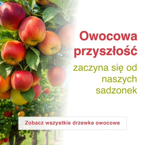 Drzewa owocowe