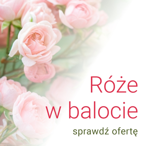Róże w balocie