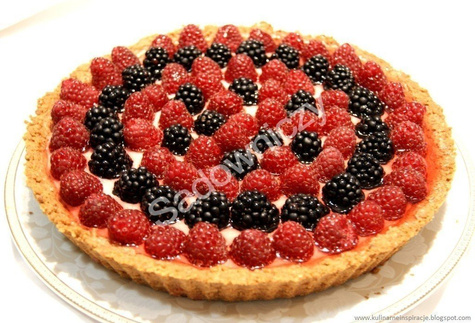 Jeżyna czarna w doniczce