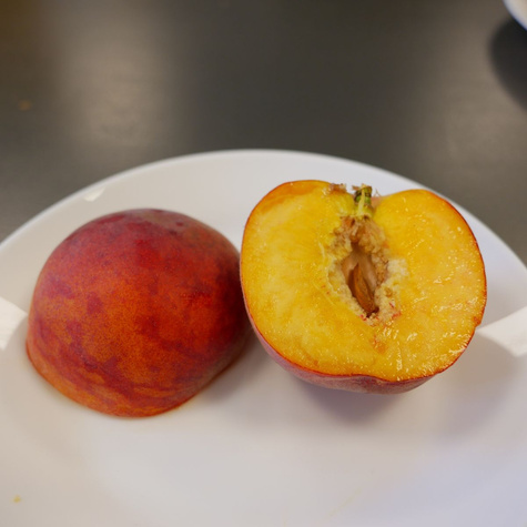 Brzoskwinia Favorita Morettini Start Pack