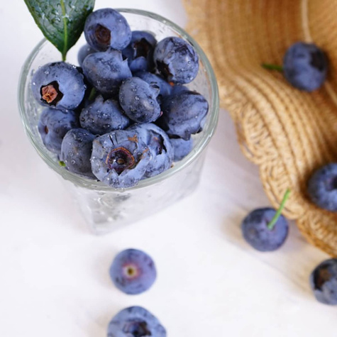 Borówka amerykańska Brigitta