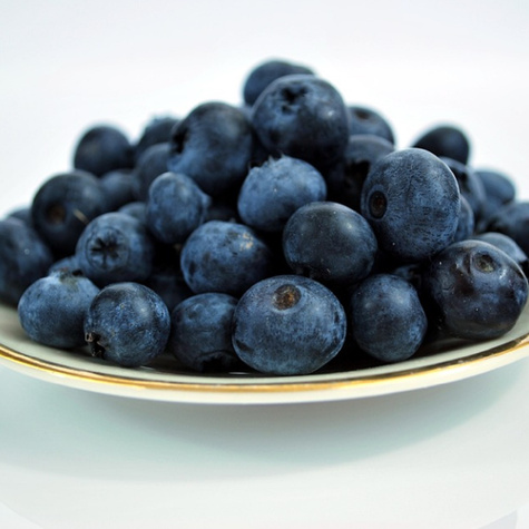 Borówka amerykańska wysoka Olle późna (C2)