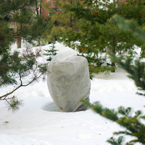 Zimowy Zestaw Ochronny do Drzewek Owocowych