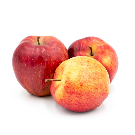 Jabłoń Bohemia w doniczce (C2)