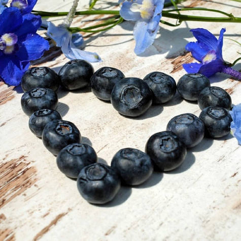 Borówka amerykańska Chanticleer (C2)