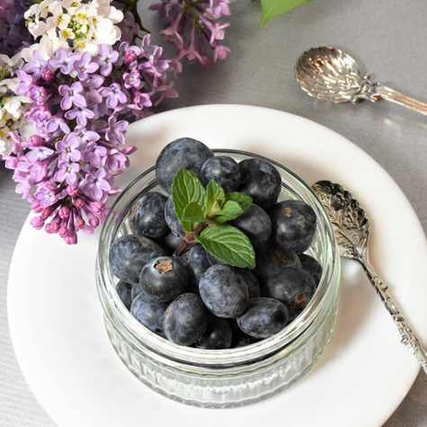 Borówka Zestaw 2 plennych odmian