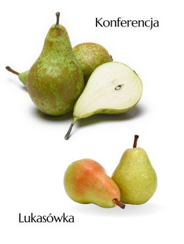 Duo Grusza Konferencja + Lukasówka Plant Pack