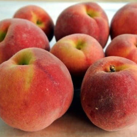 Brzoskwinia Harrow Diamond Plant Pack