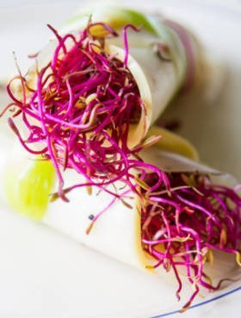 Burak ćwikłowy nasiona na kiełki 20 g