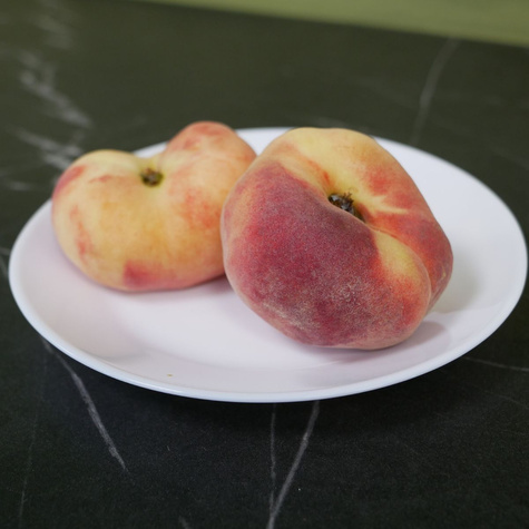 Brzoskwinia płaskowowocowa Paraguayo UFO START PACK