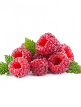 Malina powtarzająca owocowanie START PACK