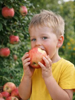 Jabłko Dziecięce Plant Pack