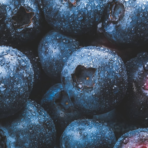 Borówka Zestaw 2 plennych odmian