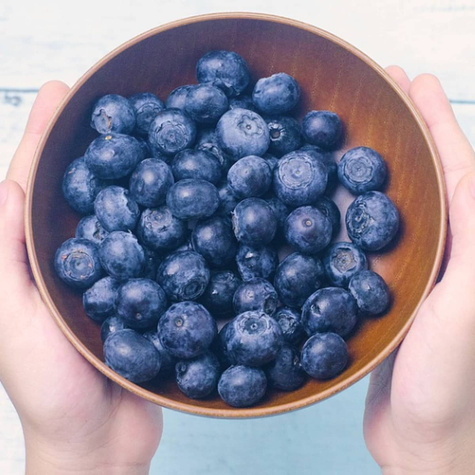 Borówka amerykańska NELSON późna (C2)