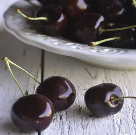 Czereśnia półkarłowa Jacinta chrupkie owoce START PACK