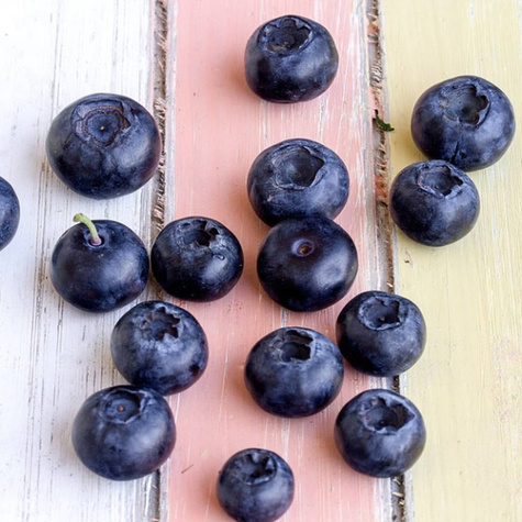 Borówka Zestaw 2 plennych odmian