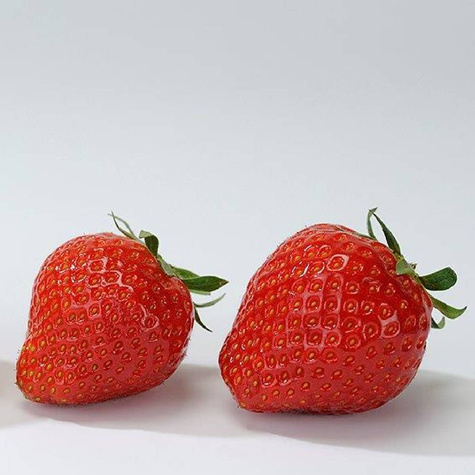 Truskawka Dukat średnio wczesna FRIGO