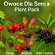  Zestaw Owoce Dla Serca Plant Pack