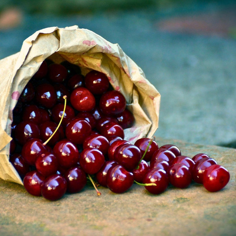 Czereśnia Kama START PACK