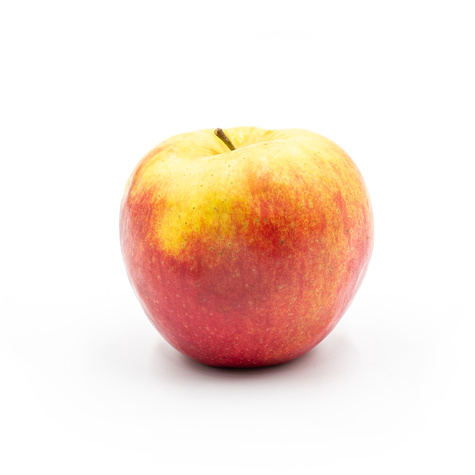 Jabłoń Idared w doniczce (C2)