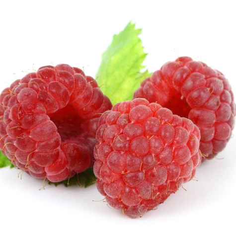 Malina jesienna Polana w doniczce