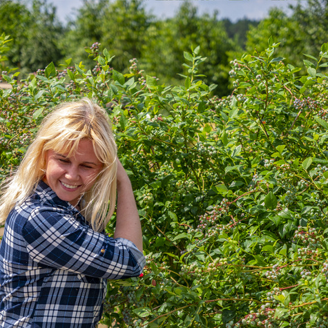 Borówka amerykańska sadzonki XXXL 100-150cm