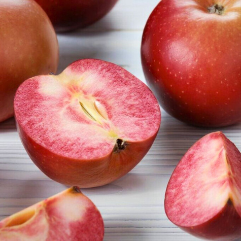 Jabłoń typu Red Loove czerwony miąższ START PACK