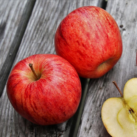 Jabłoń Celesta mrozoodporna