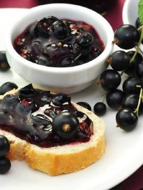 Porzeczka czarna Patio Black w doniczce