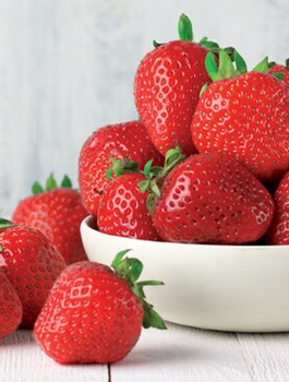 Truskawka El GIGANT średnio wczesna FRIGO