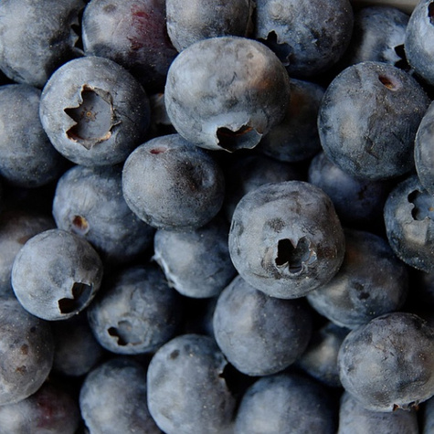 Borówka amerykańska wysoka Olle późna (C2)