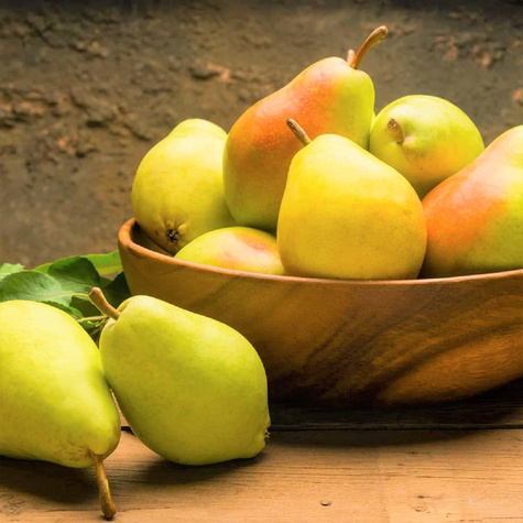 Grusza Klapsa Faworytka