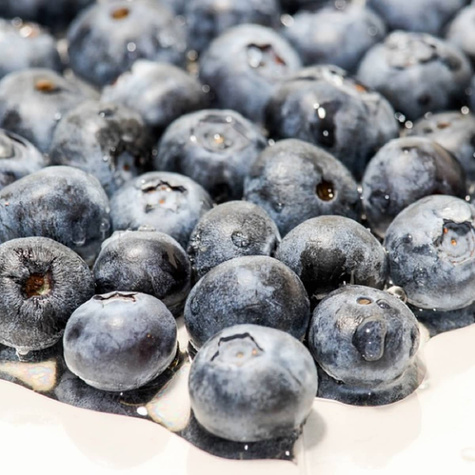 Borówka amerykańska Rubel w doniczce C2