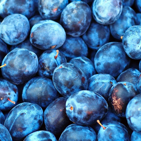 Śliwa typu Yoganta START PACK