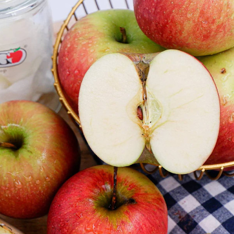 Jabłoń Rajka w doniczce