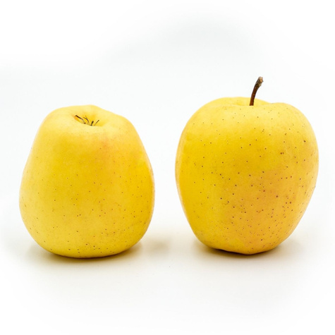 Jabłoń Golden Delicious