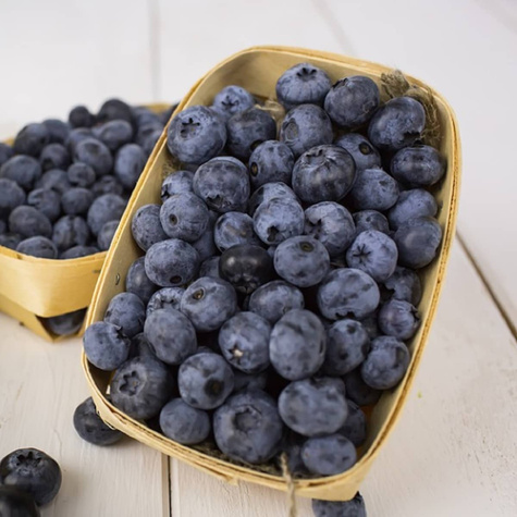 Borówka amerykańska wysoka Bonifacy średniowczesna (C2)