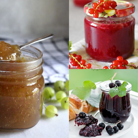 Zestaw Owocowe Skarby do Słoika Plant Pack