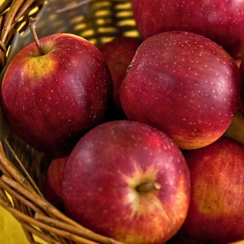 Jabłoń Jeronimo Red Delicious START PACK