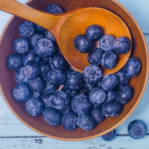 Borówka amerykańska Elliott wysoka (C2)