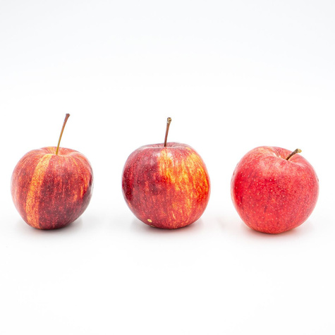 Jabłoń Gala START PACK