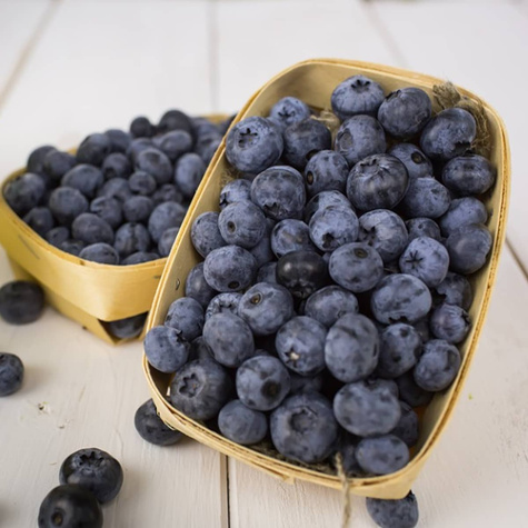 Borówka amerykańska HANNAH'S CHOICE