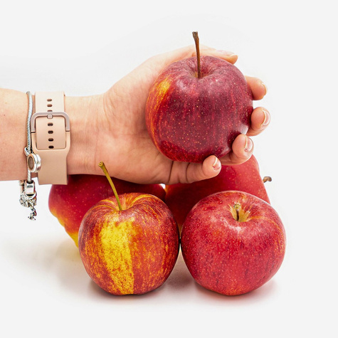 Jabłoń Gala START PACK