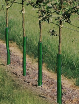Osłonka sadownicza Osłonki na drzewka wys. 1m