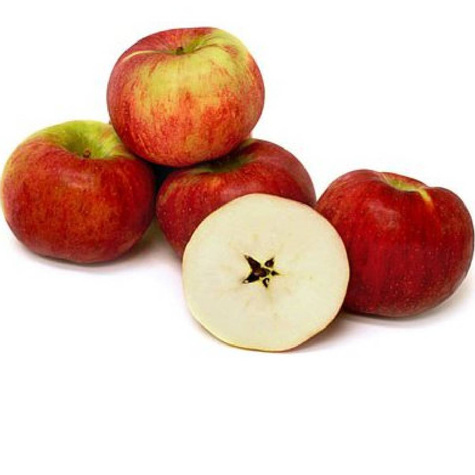 Jabłoń Cortland doniczka (C2)