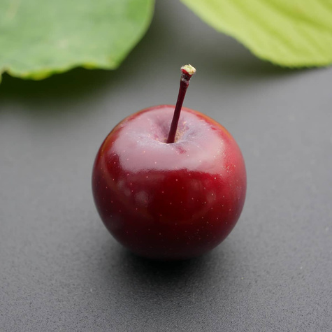 Jabłoń kolumnowa Maypole Balerina START PACK