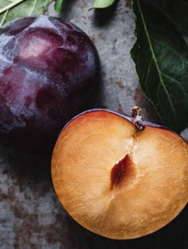 Śliwa japońska czarna START PACK