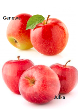 Duo Jabłoń Genewa Early + Julka Plant Pack